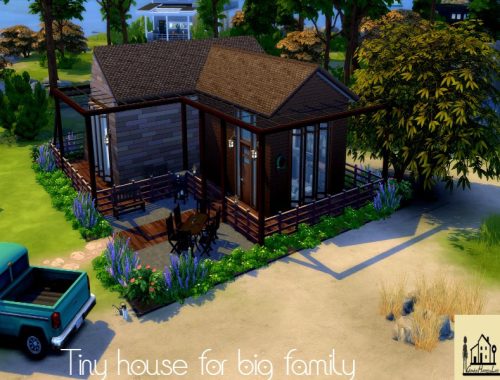 Tiny livin for big family