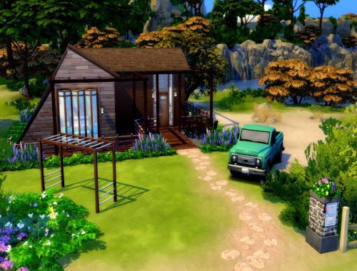 Tiny livin for big family