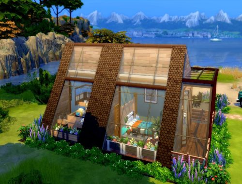Tiny livin for big family