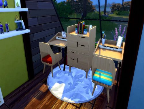 Tiny livin for big family