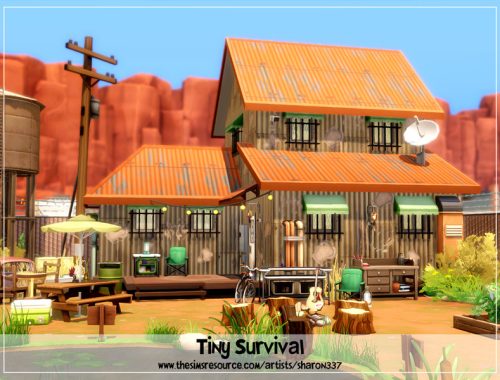 Tiny Survival - Nocc