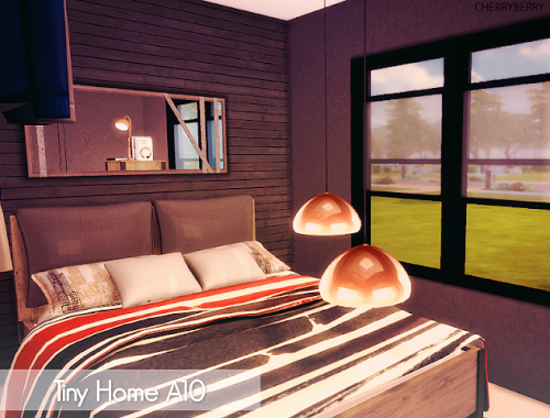 Tiny House A10