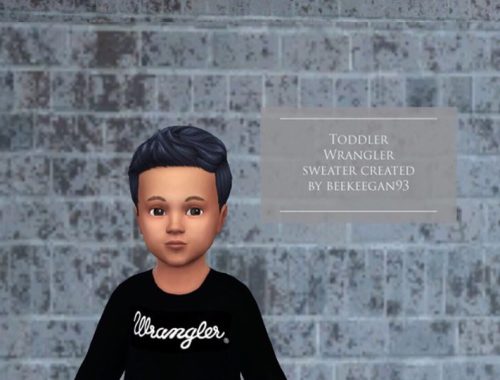 Toddler wrangler sweater - Cats and Dogs needed