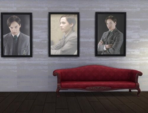 Tom Riddle Portrait Collection by Phoenix74
