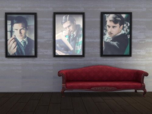Tom Riddle Portrait Collection by Phoenix74