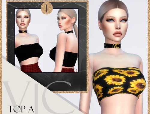 TOP A I  -  V|C