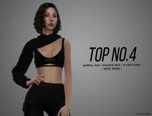 Top No.4