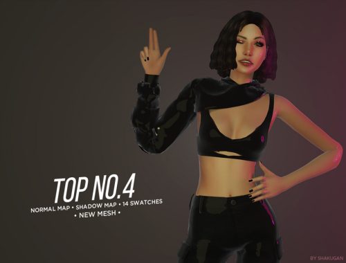 Top No.4