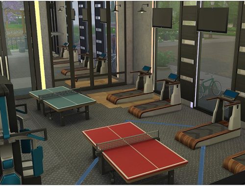 Town Gym