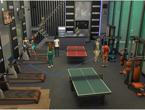 Town Gym