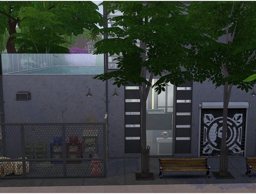 Town Gym