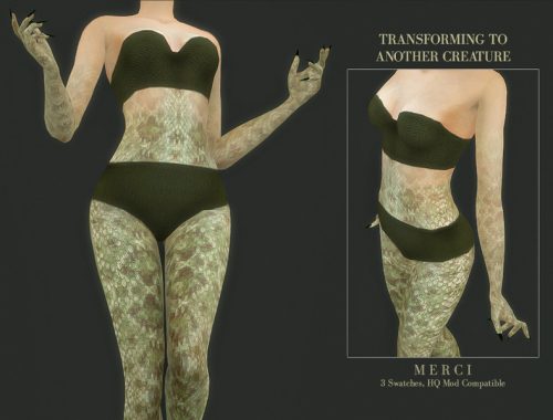 Transforming To Another Creature