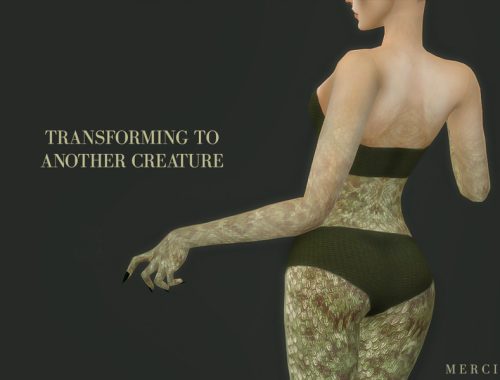 Transforming To Another Creature