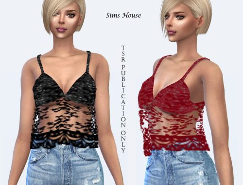 Transparent lace shirt