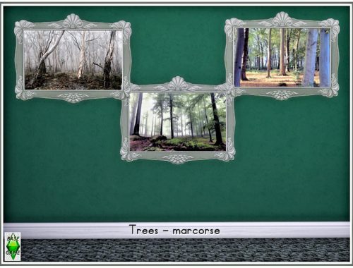 Trees_marcorse
