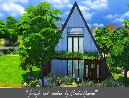Triangle and modern NO CC