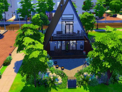Triangle and modern NO CC