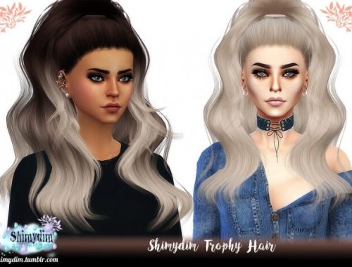Trophy Hair Ombre Naturals Unnaturals at Shimydim Sims