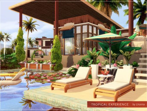Tropical Experience