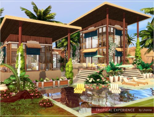Tropical Experience
