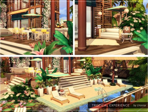 Tropical Experience