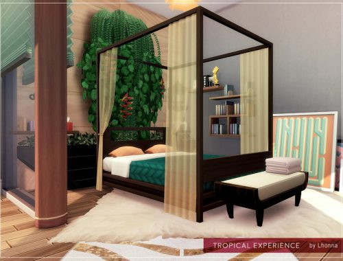 Tropical Experience