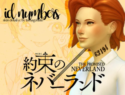 [TS4] The Promised Neverland: Identification Numbers