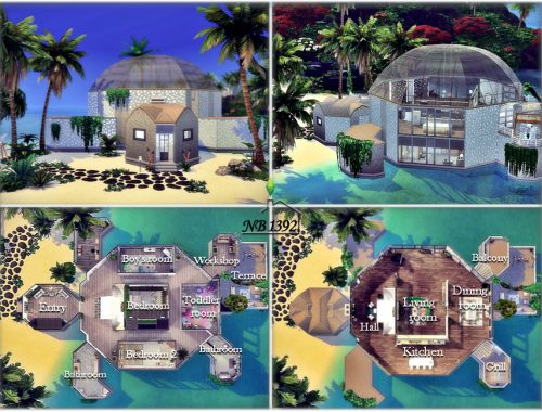 Turtle (No CC!)