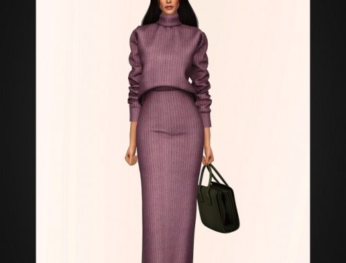 Turtleneck Two Piece Dress at Gorilla