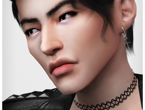 Ultimate collection 176 necklaces at Praline Sims