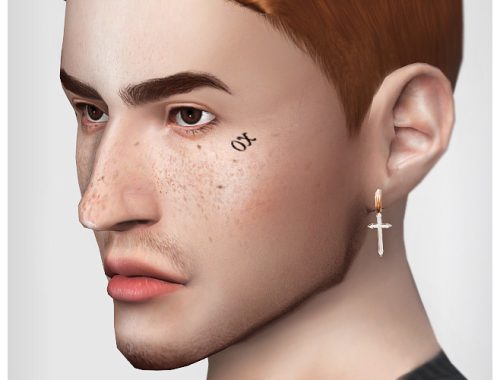 Ultimate collection 255 earrings at Praline Sims