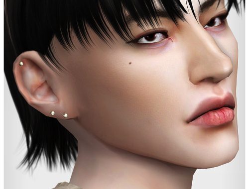 Ultimate collection 255 earrings at Praline Sims
