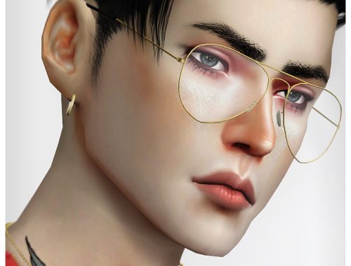 Ultimate collection 28 glasses at Praline Sims