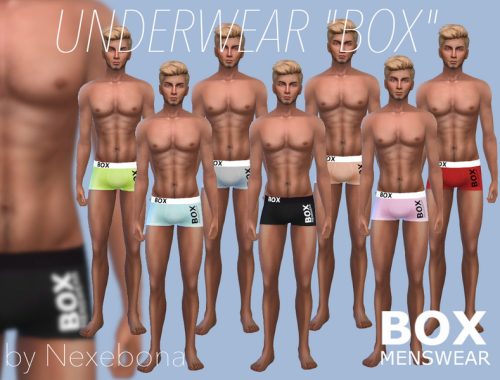 UNDERWEAR "BOX"