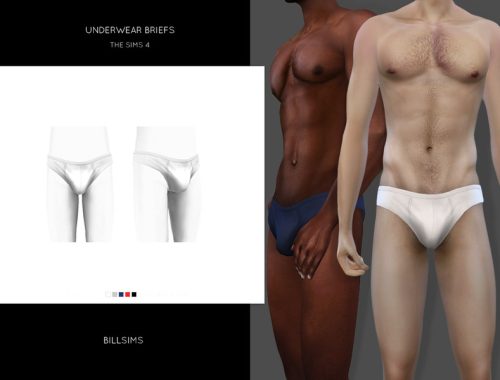 Underwear Briefs