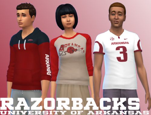 University of Arkansas collection