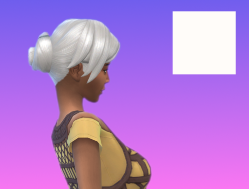 Updo Bun Hair; More Colours