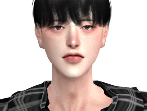 Usher Hair at Lemon Sims 4