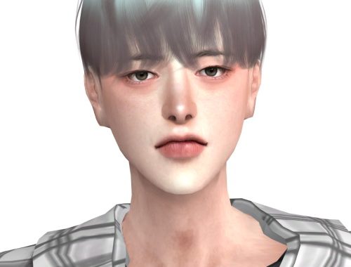 Usher Hair at Lemon Sims 4