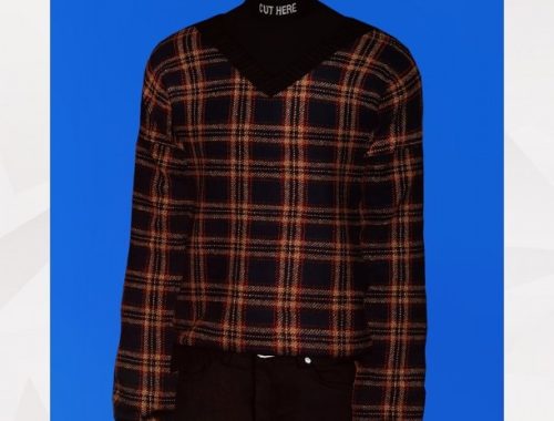 V-Neck Sweater With Turtleneck at Gorilla
