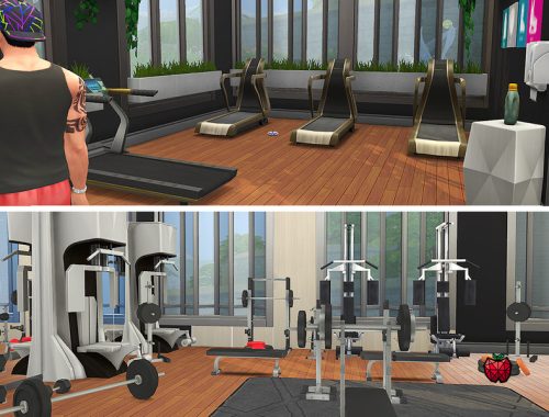 Valeria gym