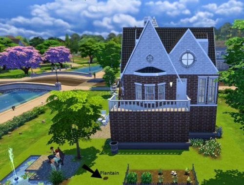Vallauris House at Keyla Sims
