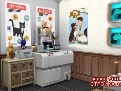 Vet clinic at Sims by Mulena