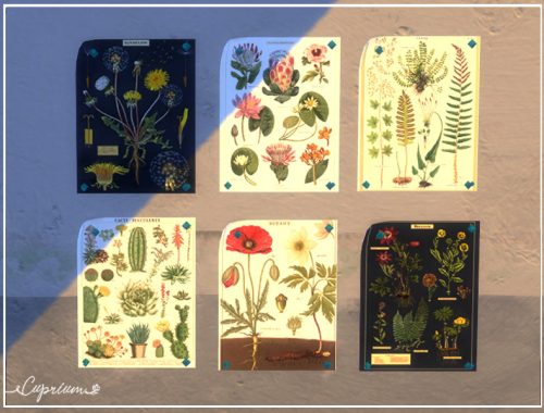 Vintage Botany Poster Set