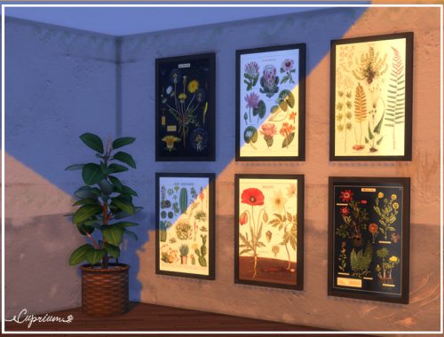 Vintage Botany Poster Set