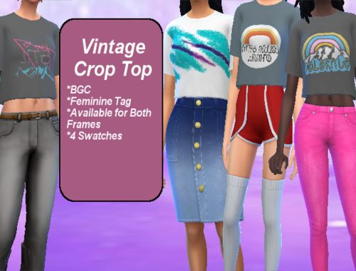 Vintage Crop Top