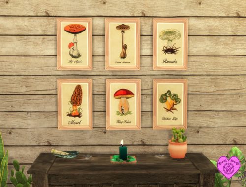Vintage Mushroom Wall Art Set