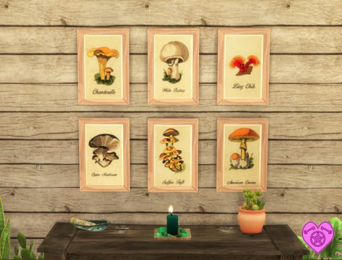 Vintage Mushroom Wall Art Set