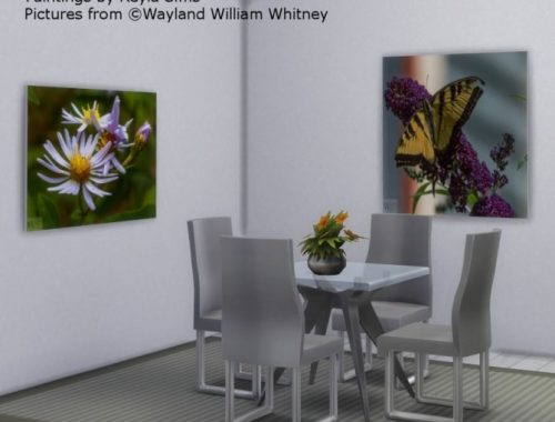 Wayland William Whitney pictures at Keyla Sims