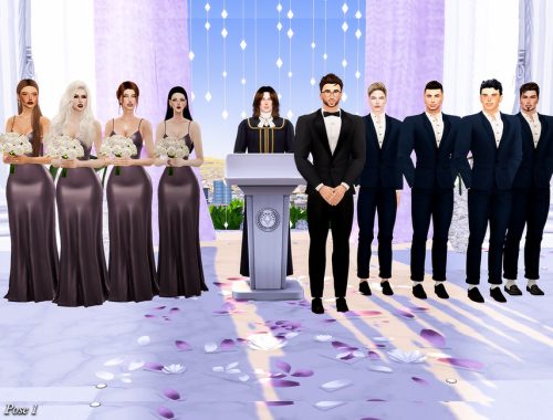 Wedding ceremony (Pose Pack)